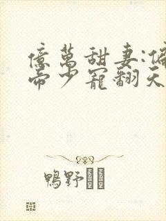 亿万甜妻:偏执帝少宠翻天