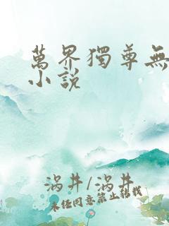 万界独尊无忧著小说