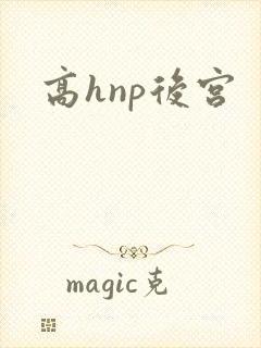 高hnp后宫