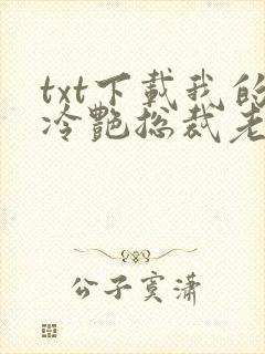 txt下载我的冷艳总裁老婆