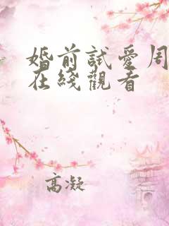 婚前试爱周秀娜在线观看