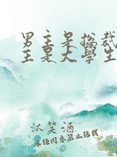 男主是总裁,女主是大学生的总裁文