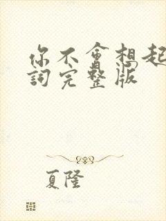 你不会想起我歌词完整版