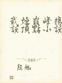 武炼巅峰杨开小说顶点小说