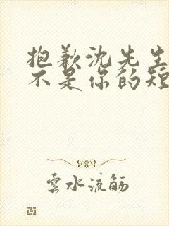 抱歉沈先生孩子不是你的短剧