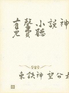 有声小说神王令免费听