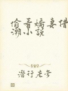 偷看娇妻借种高潮小说