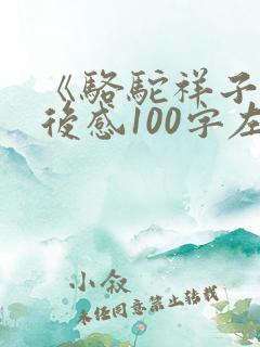 《骆驼祥子》读后感100字左右