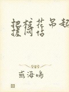 把校花吊起来揉搓网站