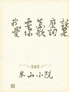 我要怎么说我不爱你歌词是什么歌