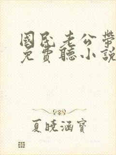 国民老公带回家免费听小说