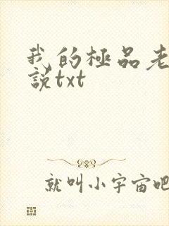 我的极品老婆小说txt