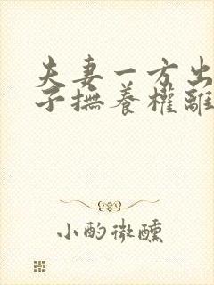 夫妻一方出轨孩子抚养权离婚判决