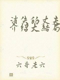 消失的丈夫剧情介绍大结局