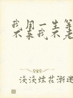 我用一生等你你不来我不老歌词