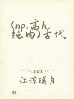 (np,高h,纯肉)古代