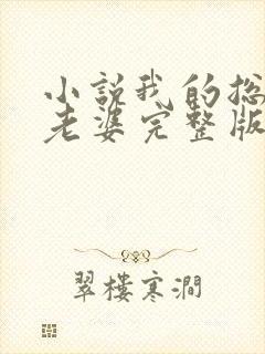 小说我的总裁大老婆完整版