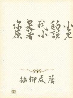 你是我的小确幸原著小说免费阅读