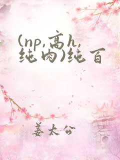(np,高h,纯肉)纯百