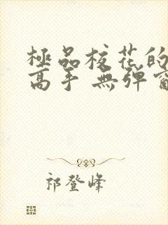 极品校花的贴身高手 无弹窗