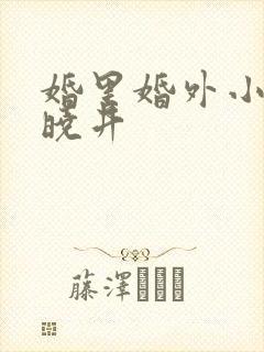 婚里婚外小说叶晓井