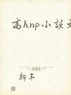 高hnp小说文