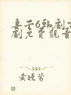 妻子6韩剧电视剧免费观看全集