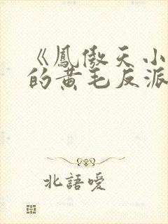 《凤傲天小说里的黄毛反派也想幸福》