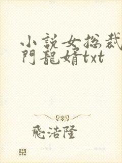 小说女总裁的上门龙婿txt