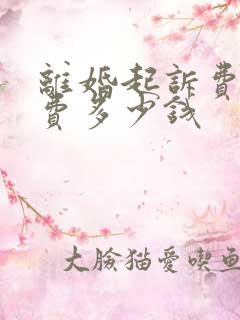 离婚起诉费律师费多少钱