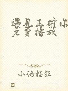 遇见正确你短剧免费播放