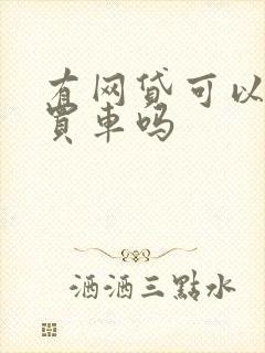 有网贷可以贷款买车吗