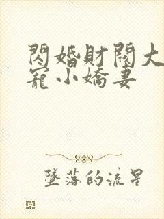 闪婚财阀大叔强宠小娇妻