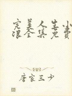 完美人生小说沈浪全集免费阅读