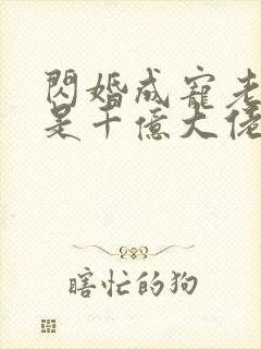 闪婚成宠老公竟是千亿大佬免费阅读笔趣阁