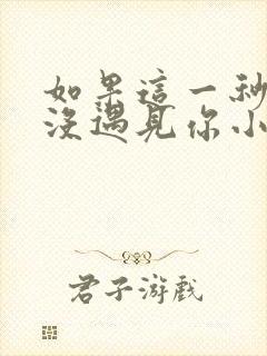 如果这一秒,我没遇见你小说小说