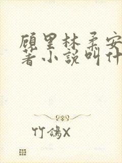 顾里林柔安心原著小说叫什么名字