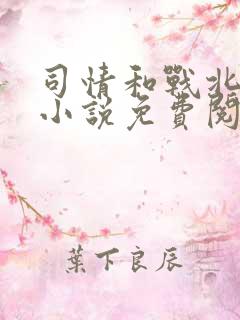 司情和战北霆的小说免费阅读
