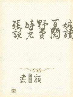 张时野夏婉央小说免费阅读笔趣阁