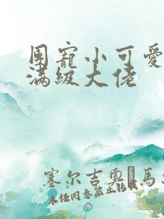 团宠小可爱穿成满级大佬