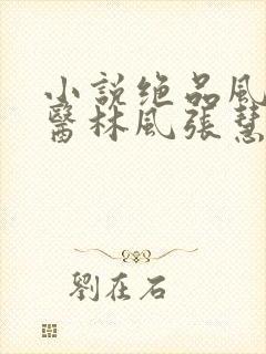 小说绝品风流狂医林风张慧手机版