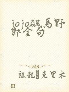 jojo飙马野郎金句
