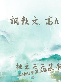 调教文 高h