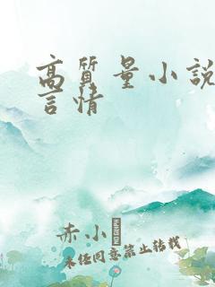 高质量小说推荐言情