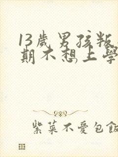 13岁男孩叛逆期不想上学怎么办