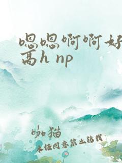 嗯嗯啊啊好爽 高h np