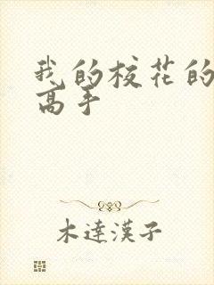 我的校花的贴身高手