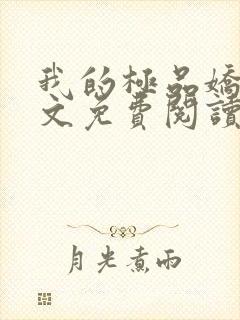 我的极品娇妻全文免费阅读