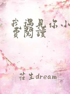 我遇见你小说免费阅读