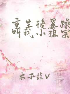 重生后暴躁大佬叫我小祖宗最txt下载